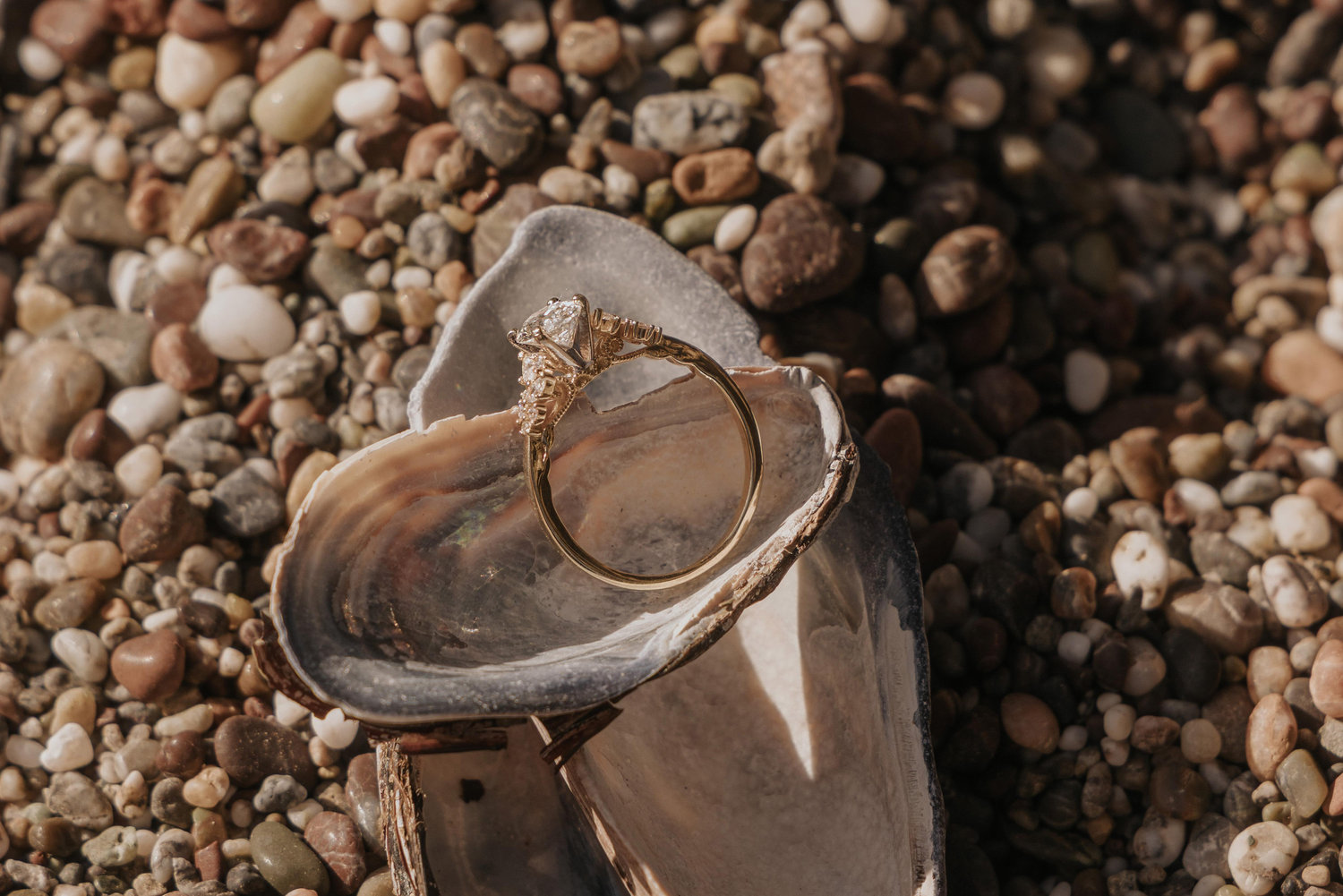 The Wedding Website of Cheyanne Bastedo and Alex van Ommeren-Egberts
