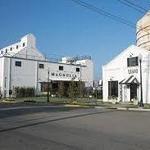Magnolia Market at the Silos