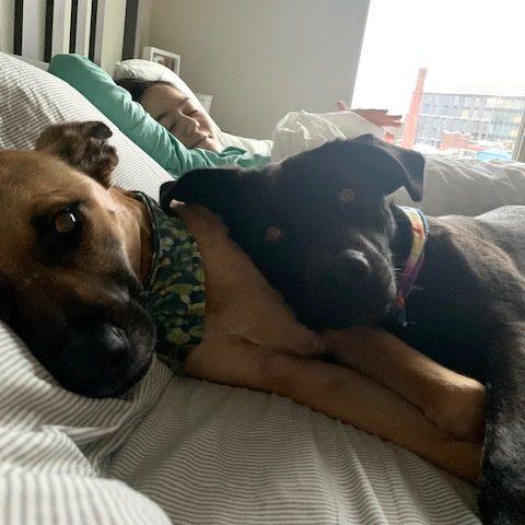 best snugglers, reining world champions for the last 4 years