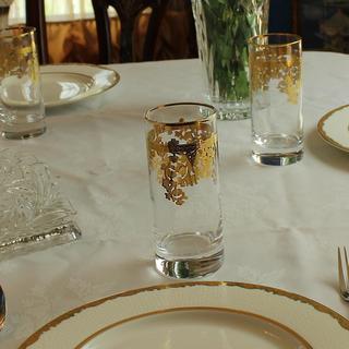 Embellished 24K Gold Crystal High Ball Tumbler, Set of 4