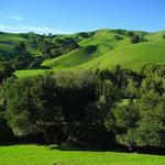 Top Hiking spot near Walnut Creek