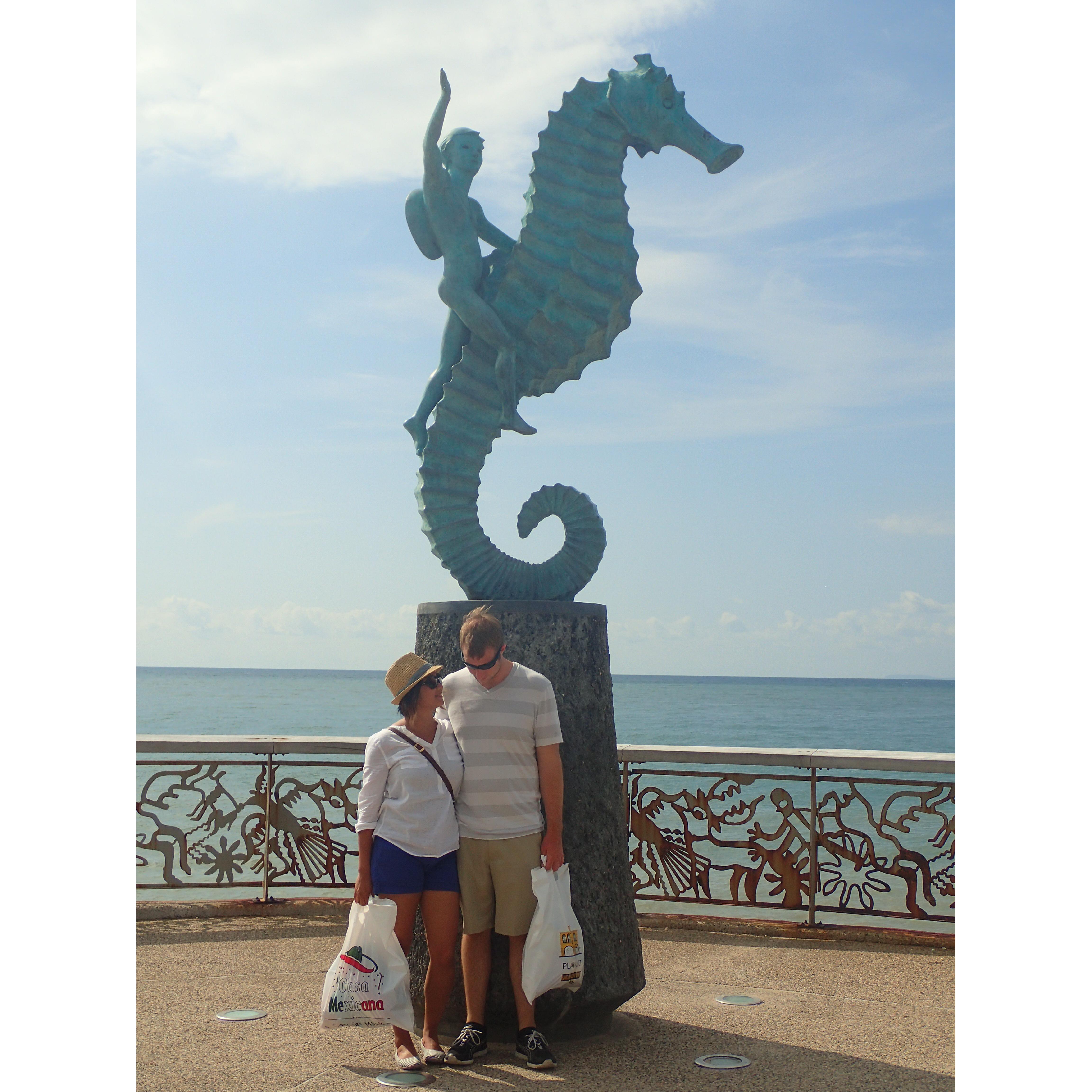 Puerta Vallarta 2014