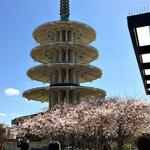 San Francisco Japantown