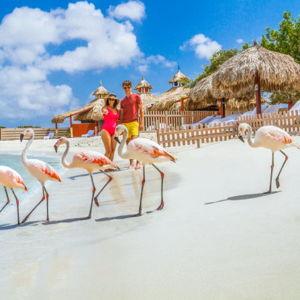 Sightseeing in Aruba