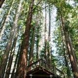 Hoyt Arboretum