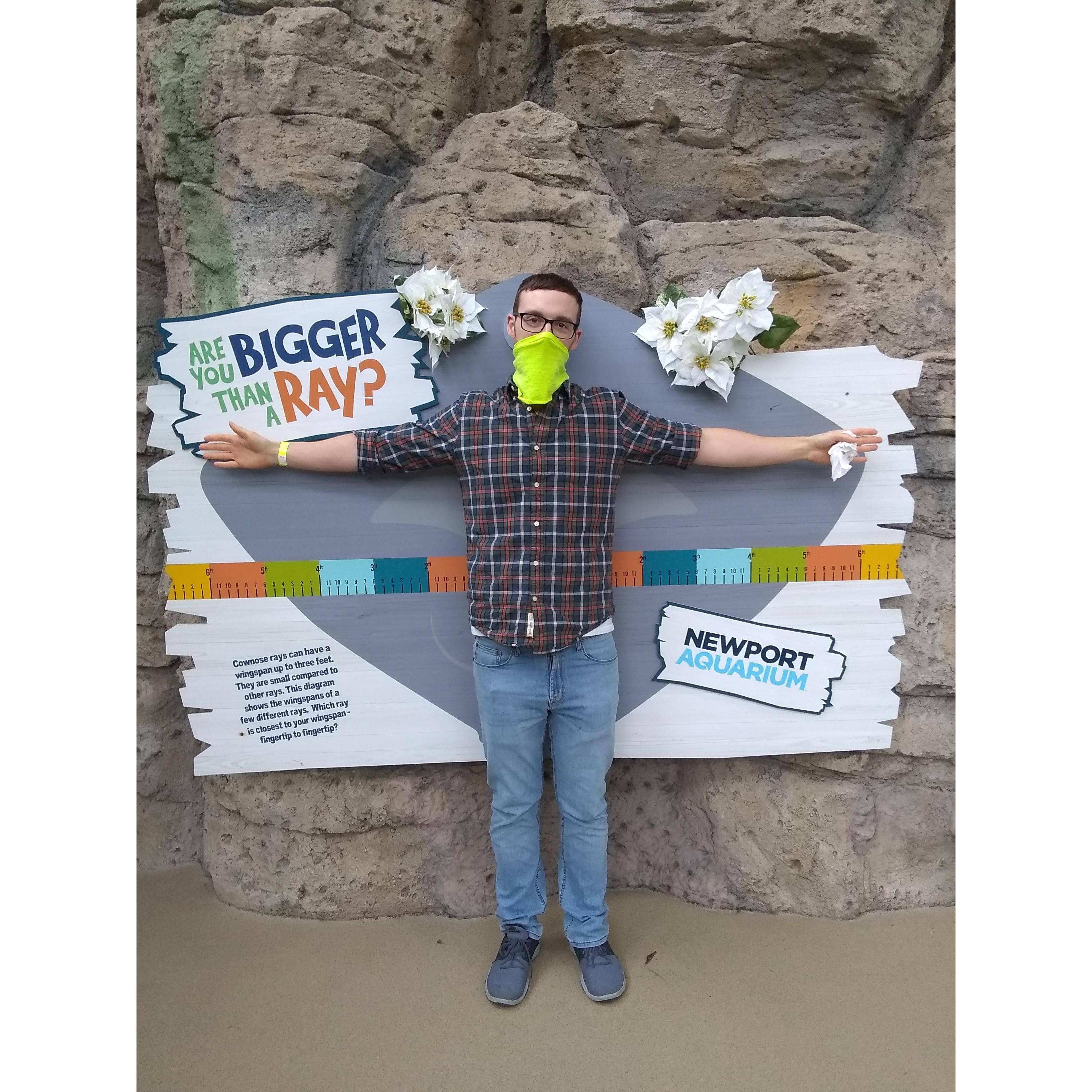 Newport Aquarium December 2020