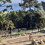 Santa Barbara Zoo