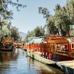 🌳 Jardines Flotantes de Xochimilco (Xochimilco)