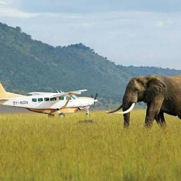 Flights into Masi Mara!
