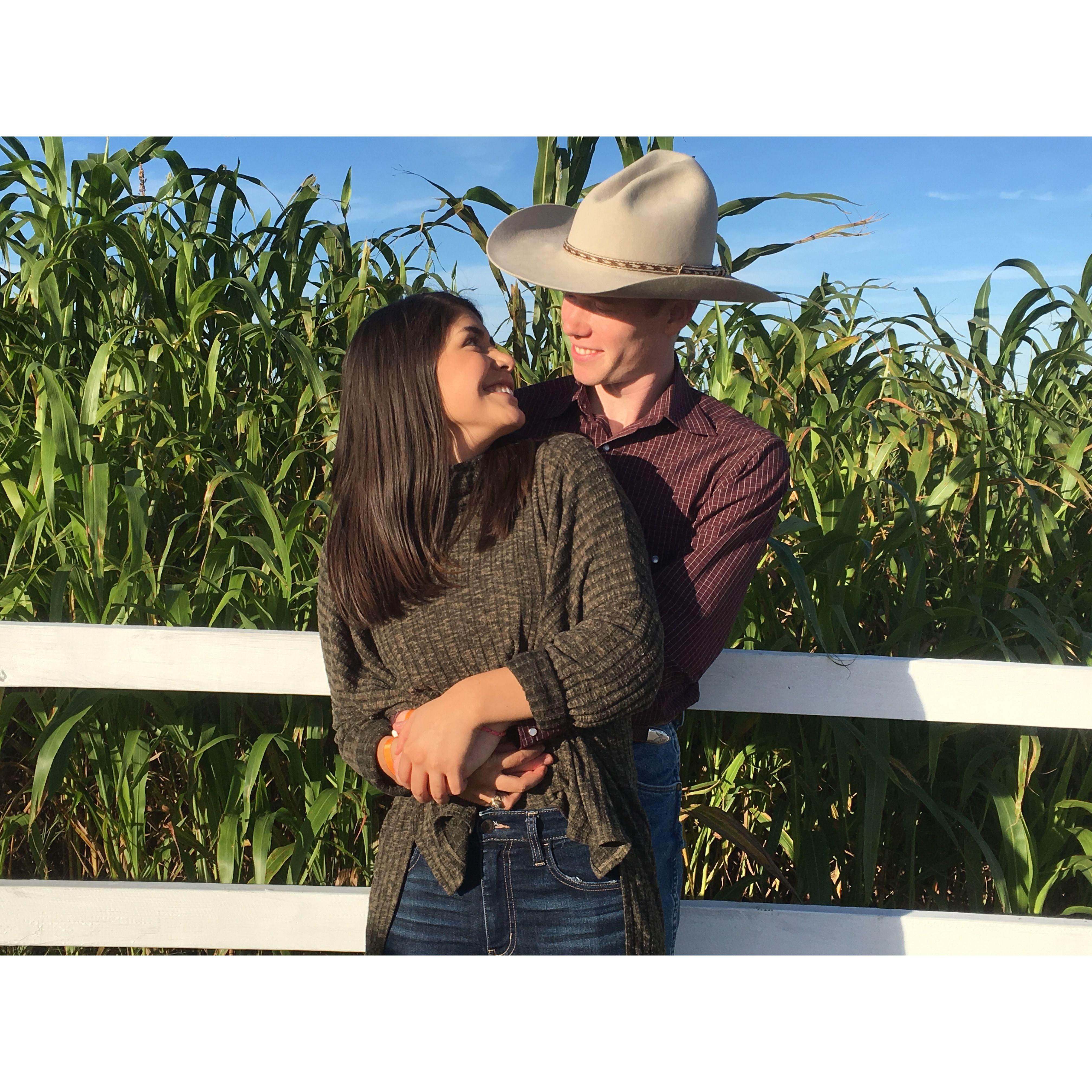 Pumpkin Patch