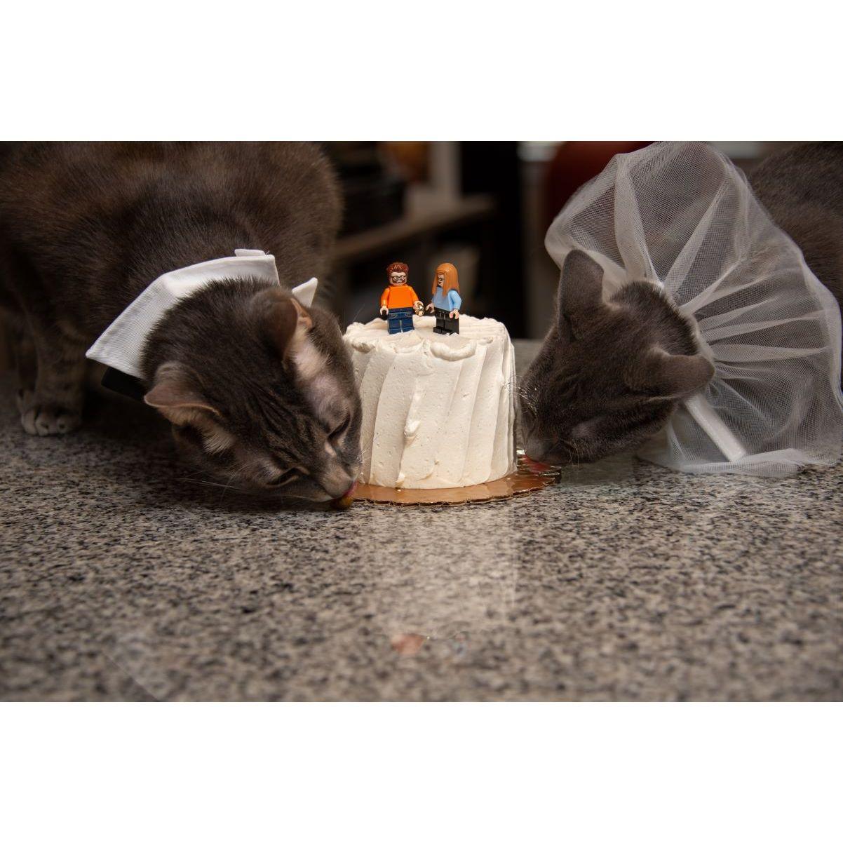 Velvet and Baxter helped us celebrate early!