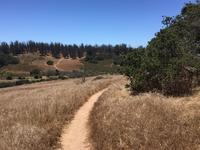 Orcutt Hills