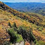 The Blowing Rock