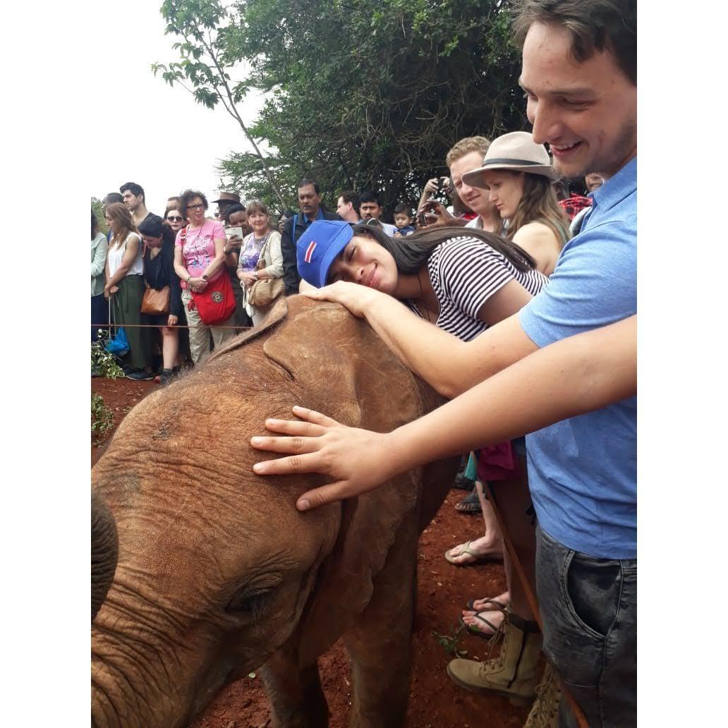 Elephant orphanage in Kenya