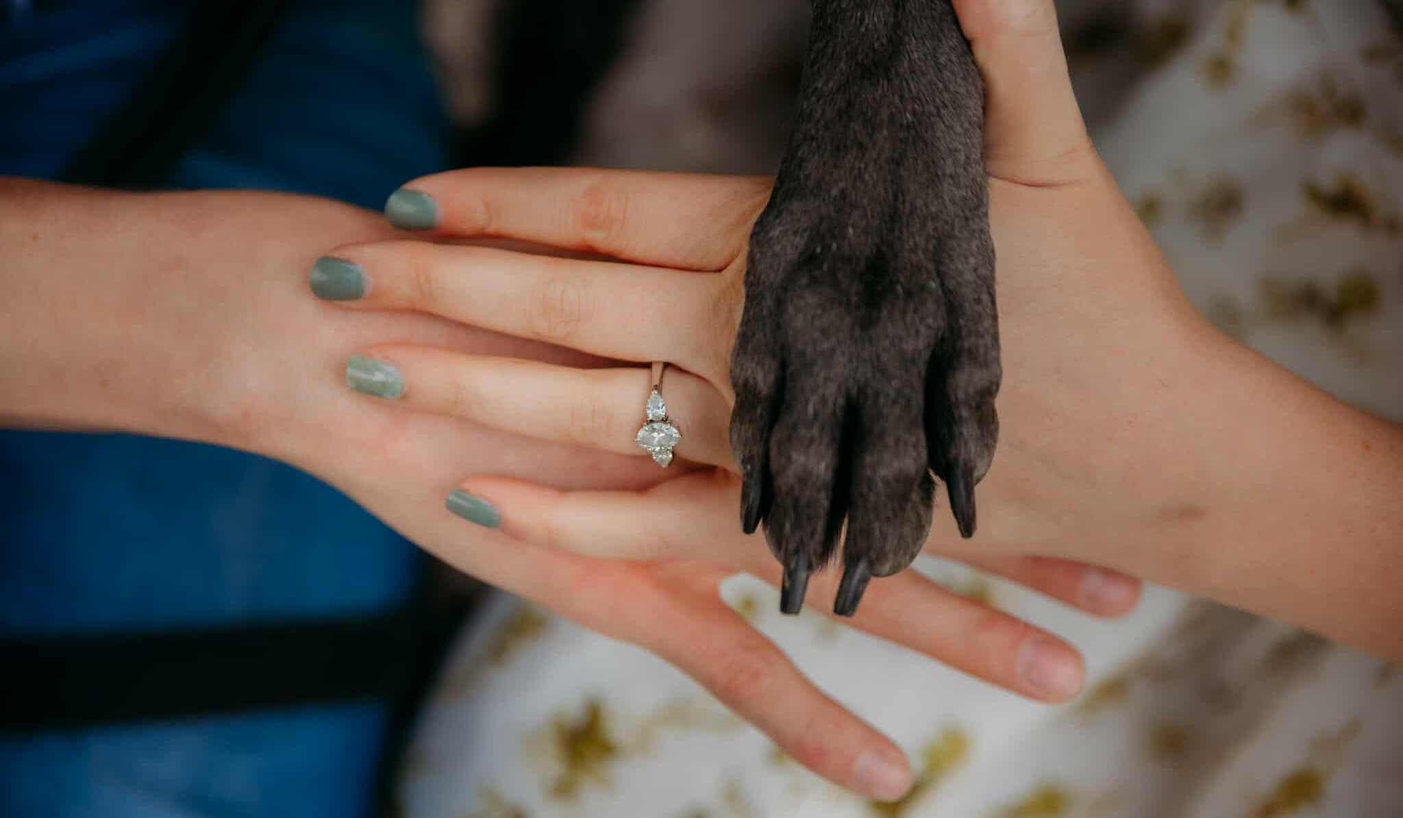 Hero Slideshow Image 2