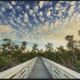 Walking trails