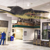 Sternberg Museum of Natural History