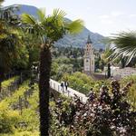 Merano, between mountains and palm trees