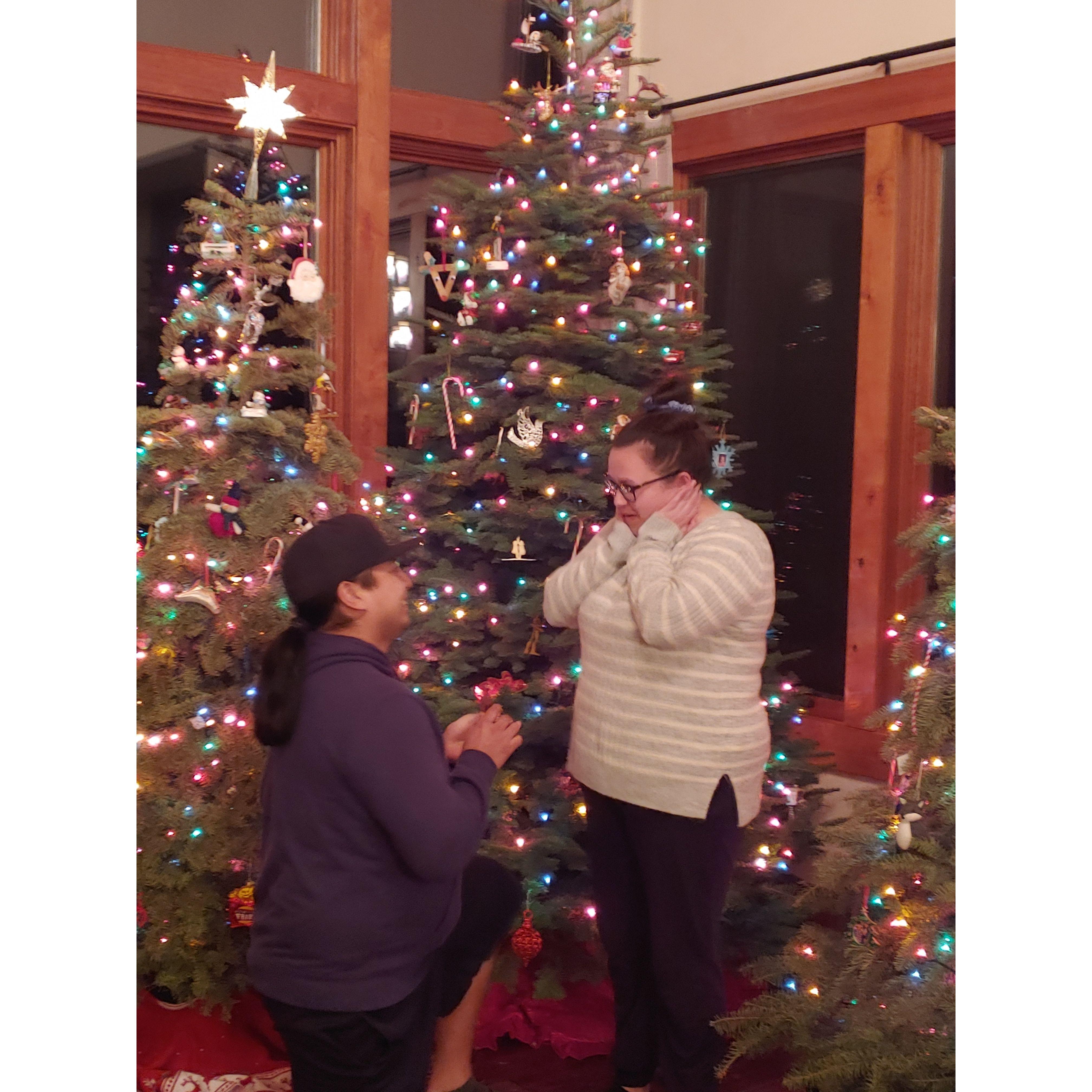 "The Proposal" December 25th, 2022