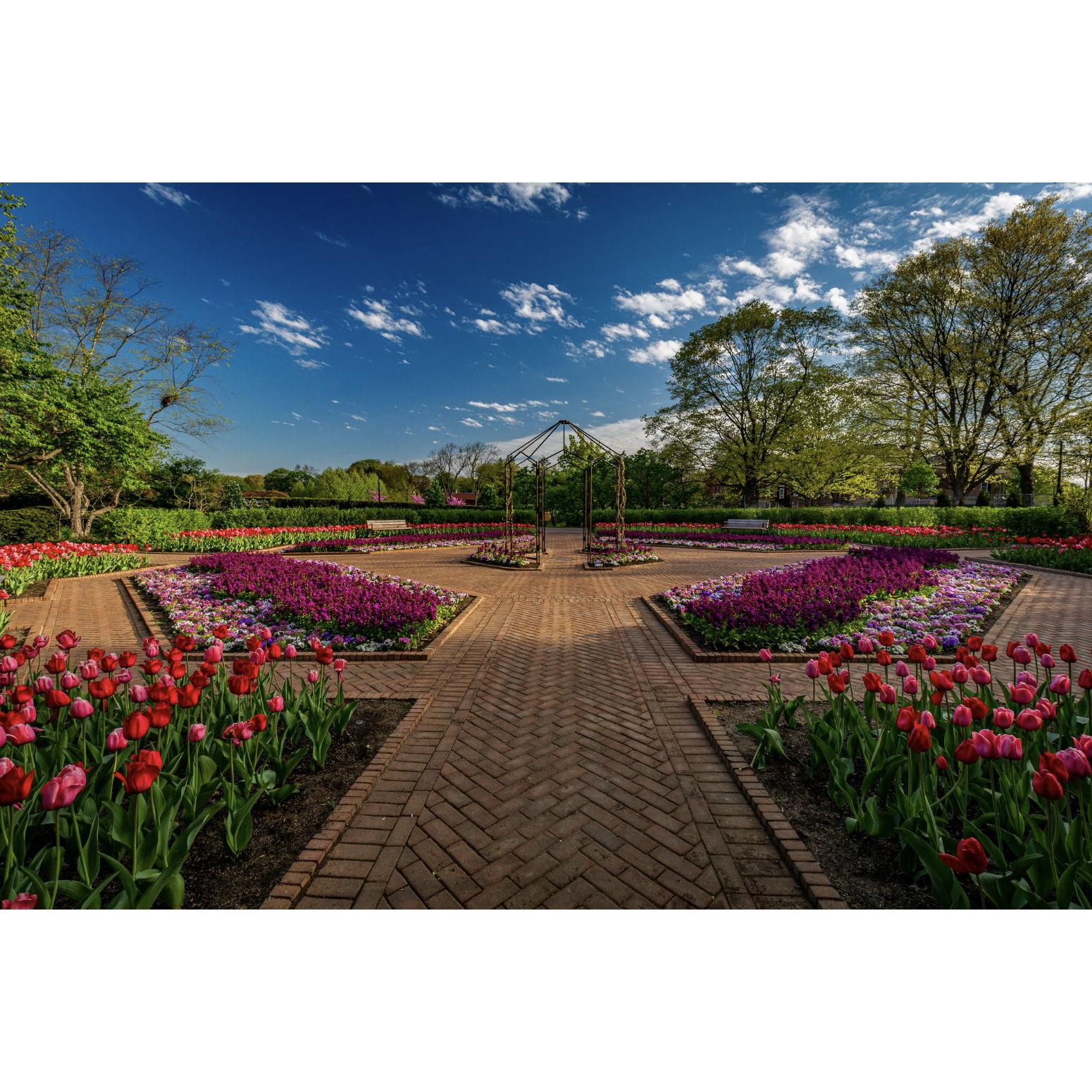 Cantigny- Rose Garden