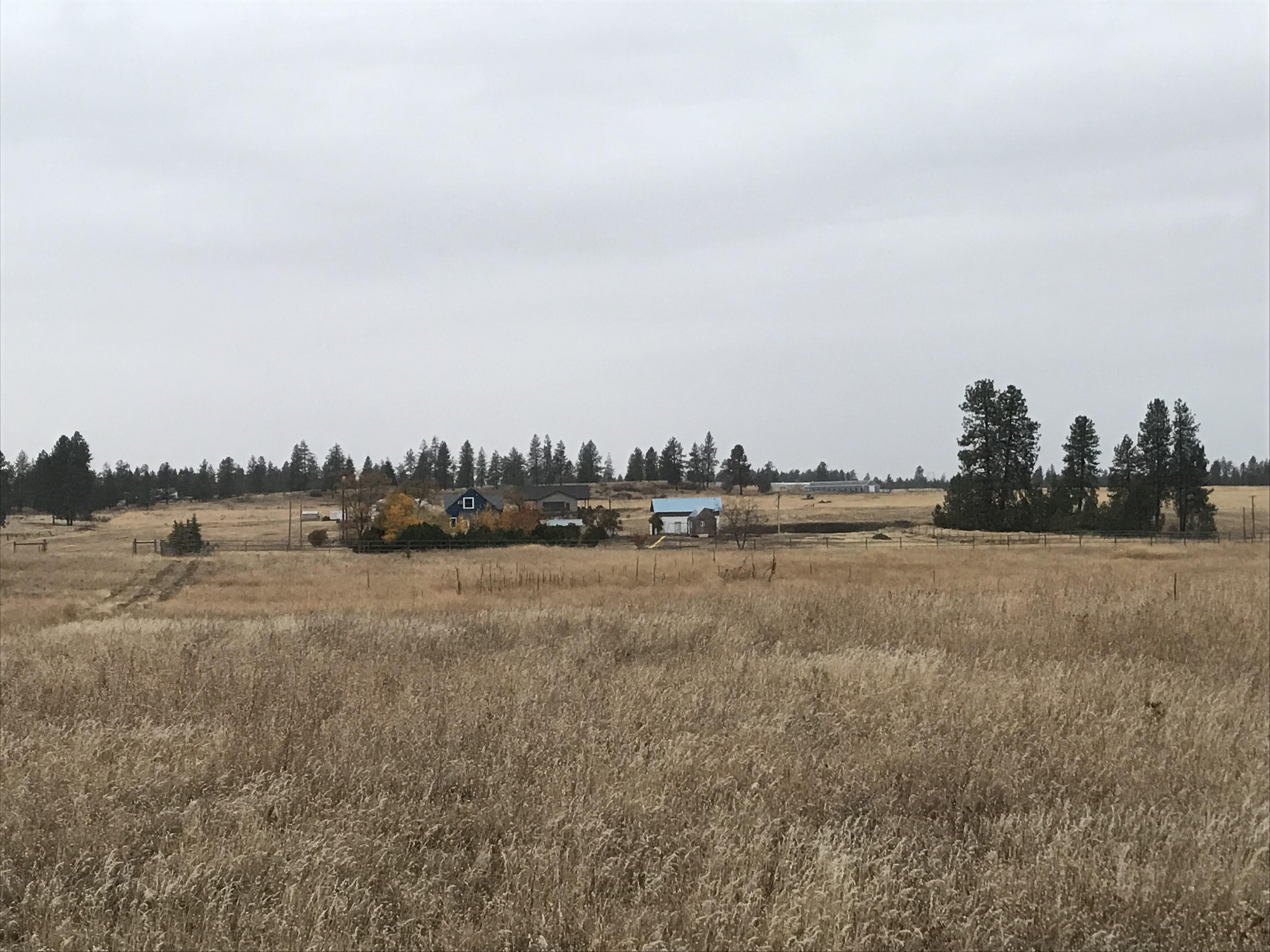 The Wedding Website of Lindsay MacKenzie and Christopher Hayes