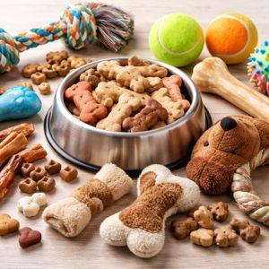Treats and Toys for Mochi