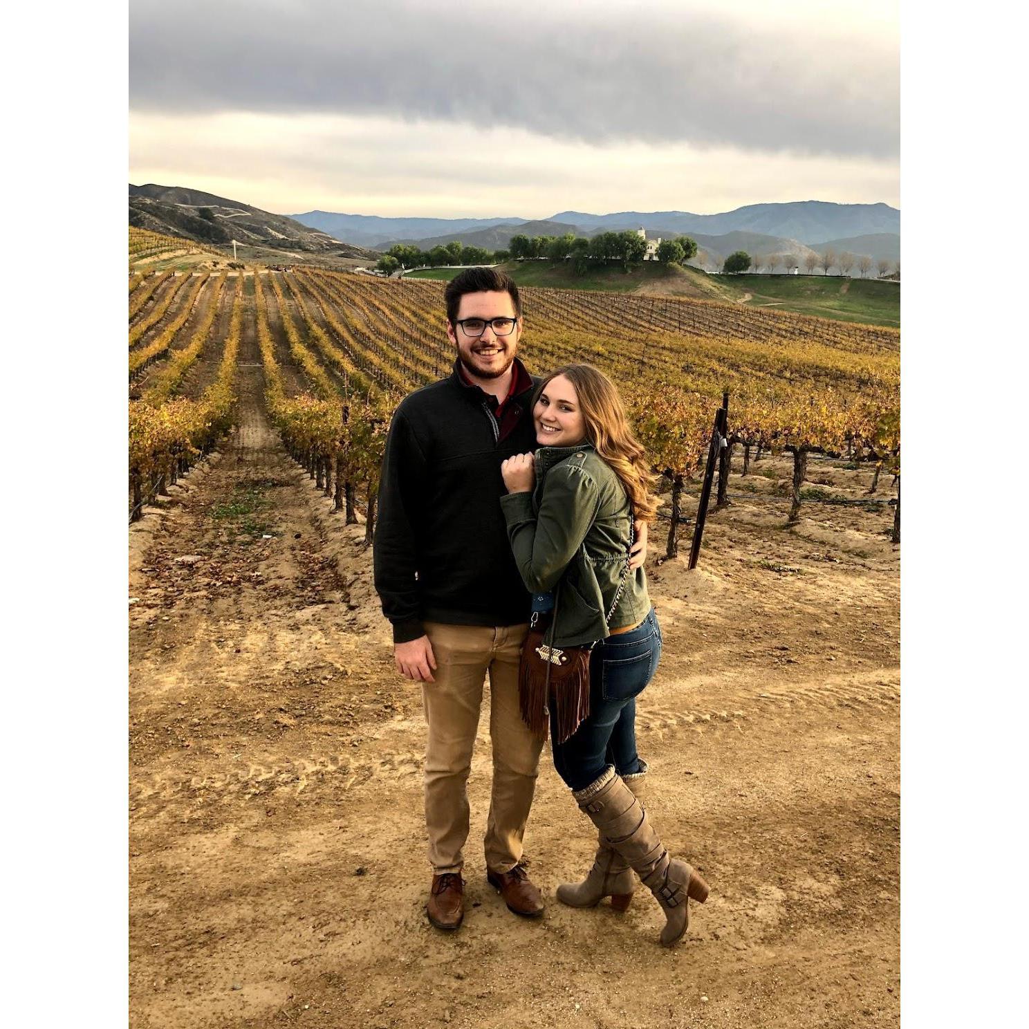 Wine tasting in the winter of 2018
