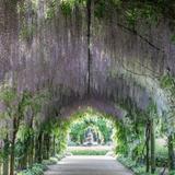 Alowyn Gardens