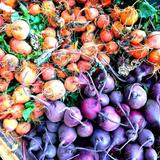 McCarren Park Greenmarket