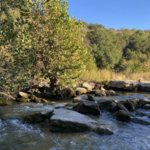 Greenbelt Trail & Lunch at TacoDeli