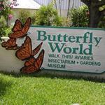 Butterfly World
