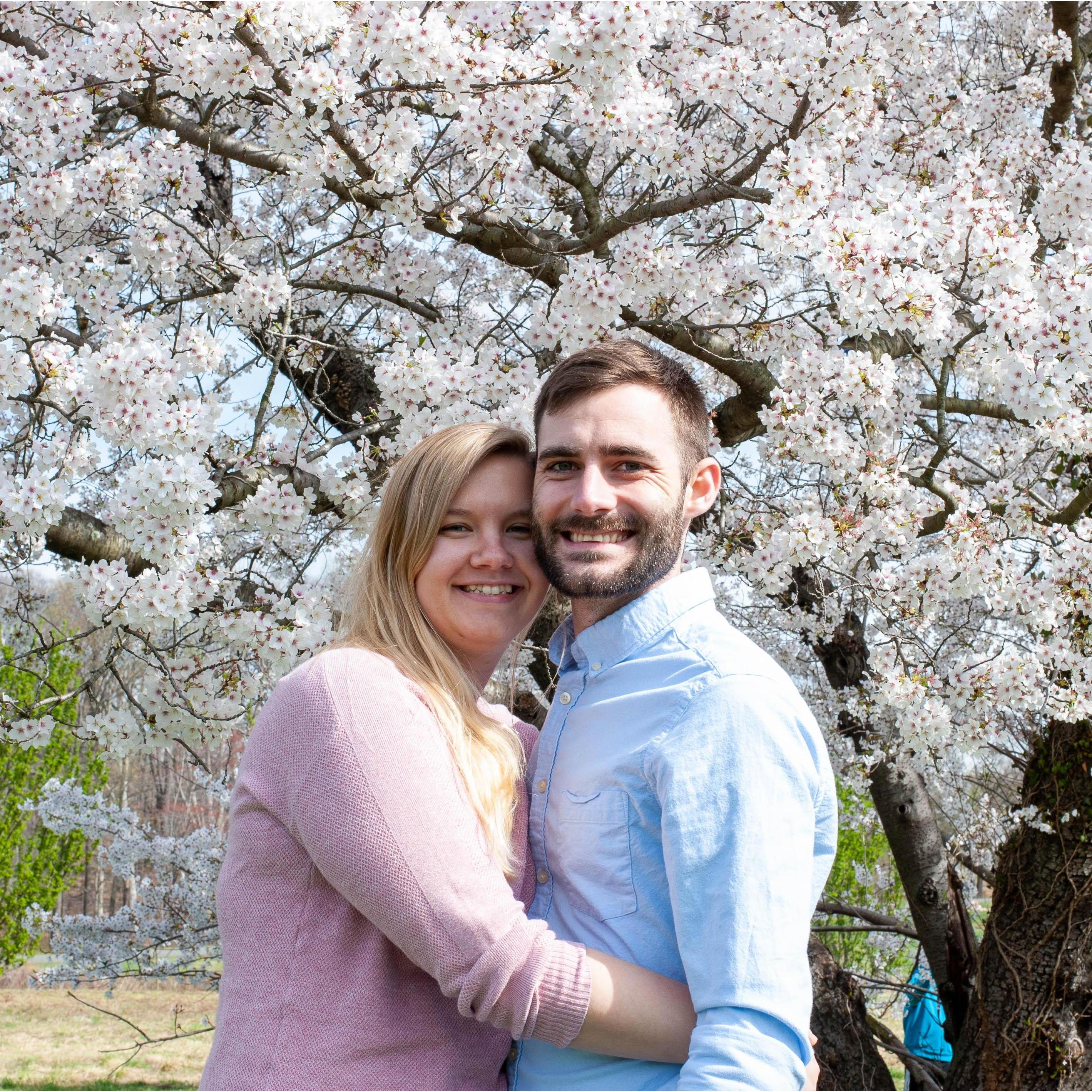 National Arboretum with Cherry Blossoms blooming
March 2020