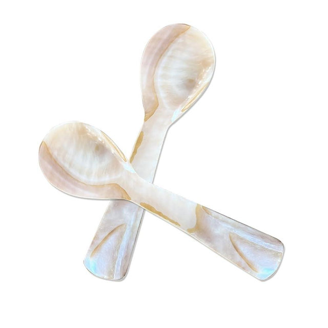 2 Pack 4.33in Caviar Spoons Handcraft Mother of Pearl MOP Caviar Spoon W Round Handle with One Plastic Storage Box- Coffee Color (G)