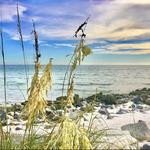 Pass-a-Grille Beach