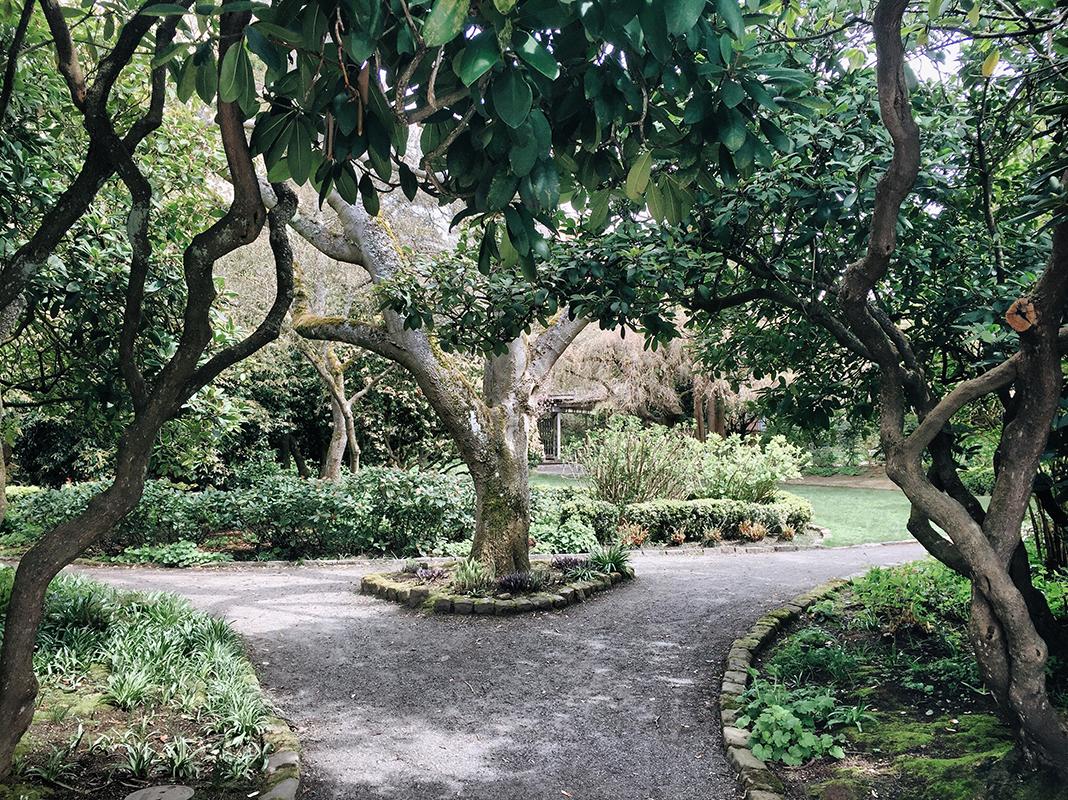 The Wedding Website of Liz Wilson and David Risser