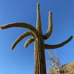 Gateway Trailhead - McDowell Sonoran Preserve