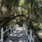 Magnolia Plantation and Gardens