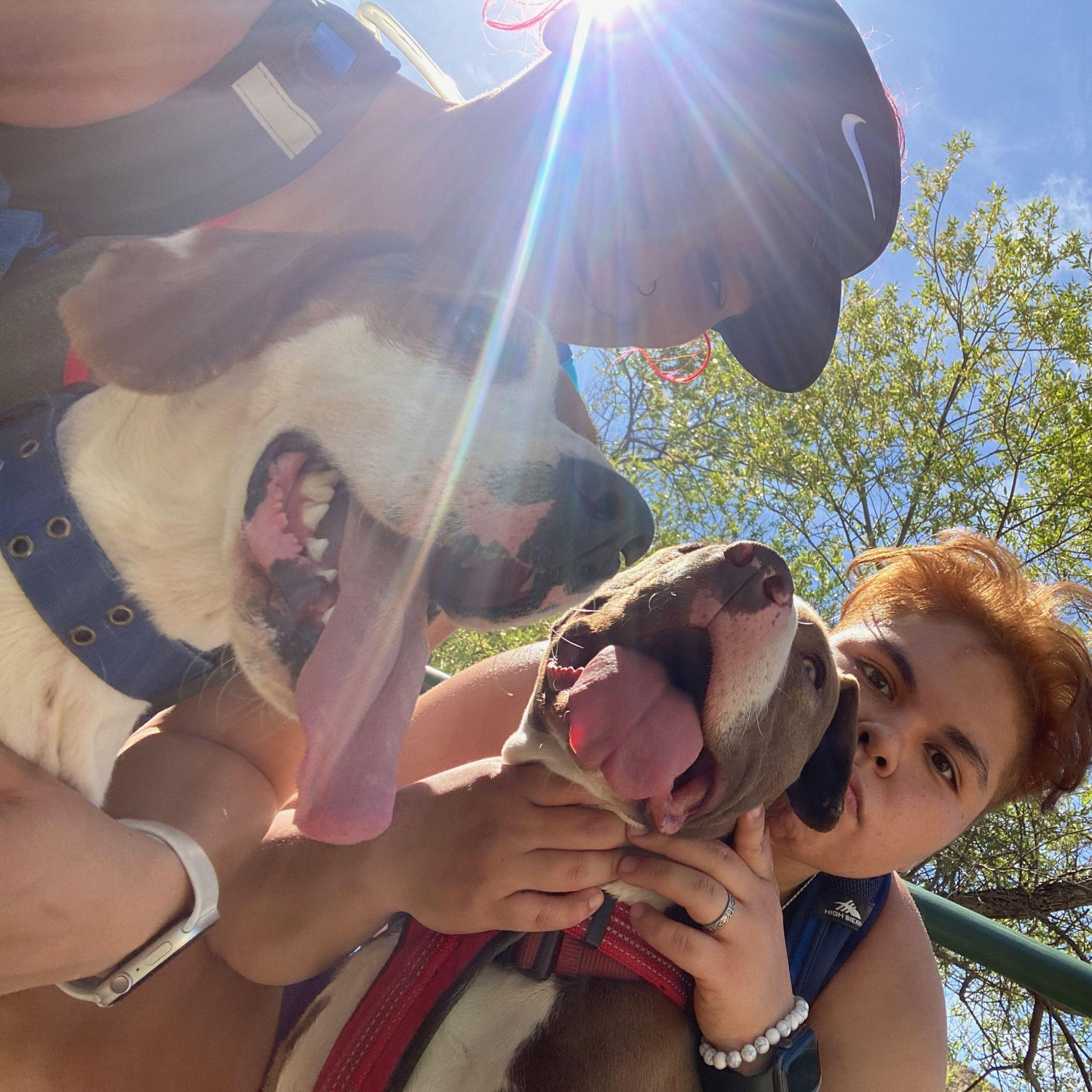 One of the many hikes with Dodger and Lilo