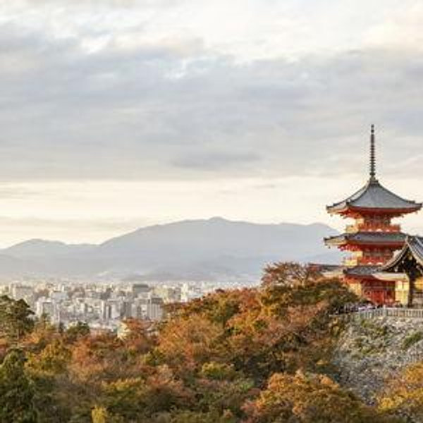 Japan Honeymoon!