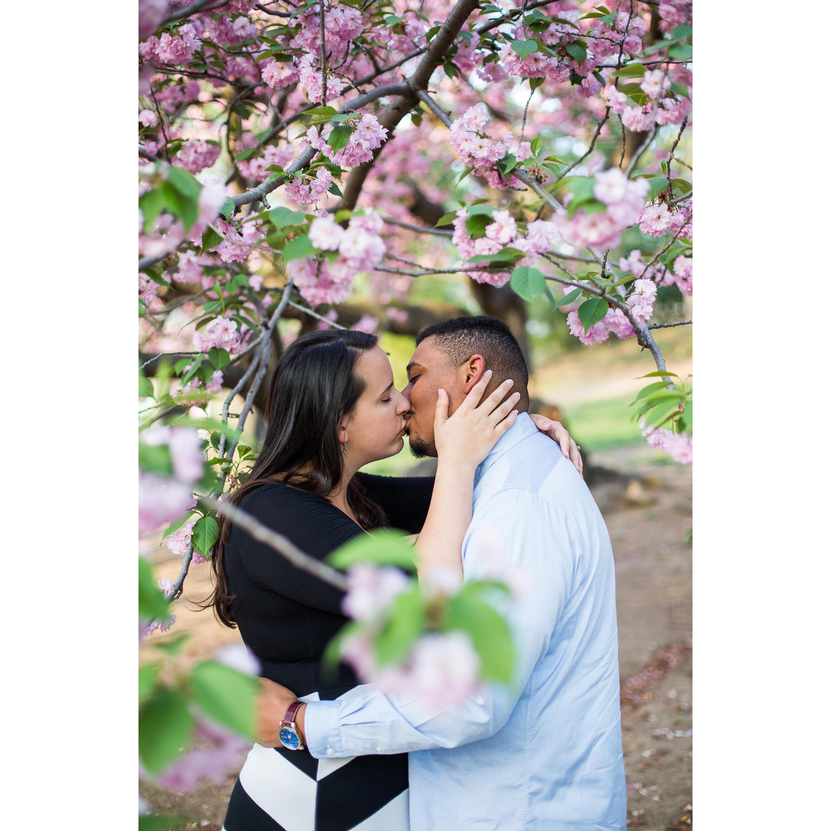Engagement photos in Central Park