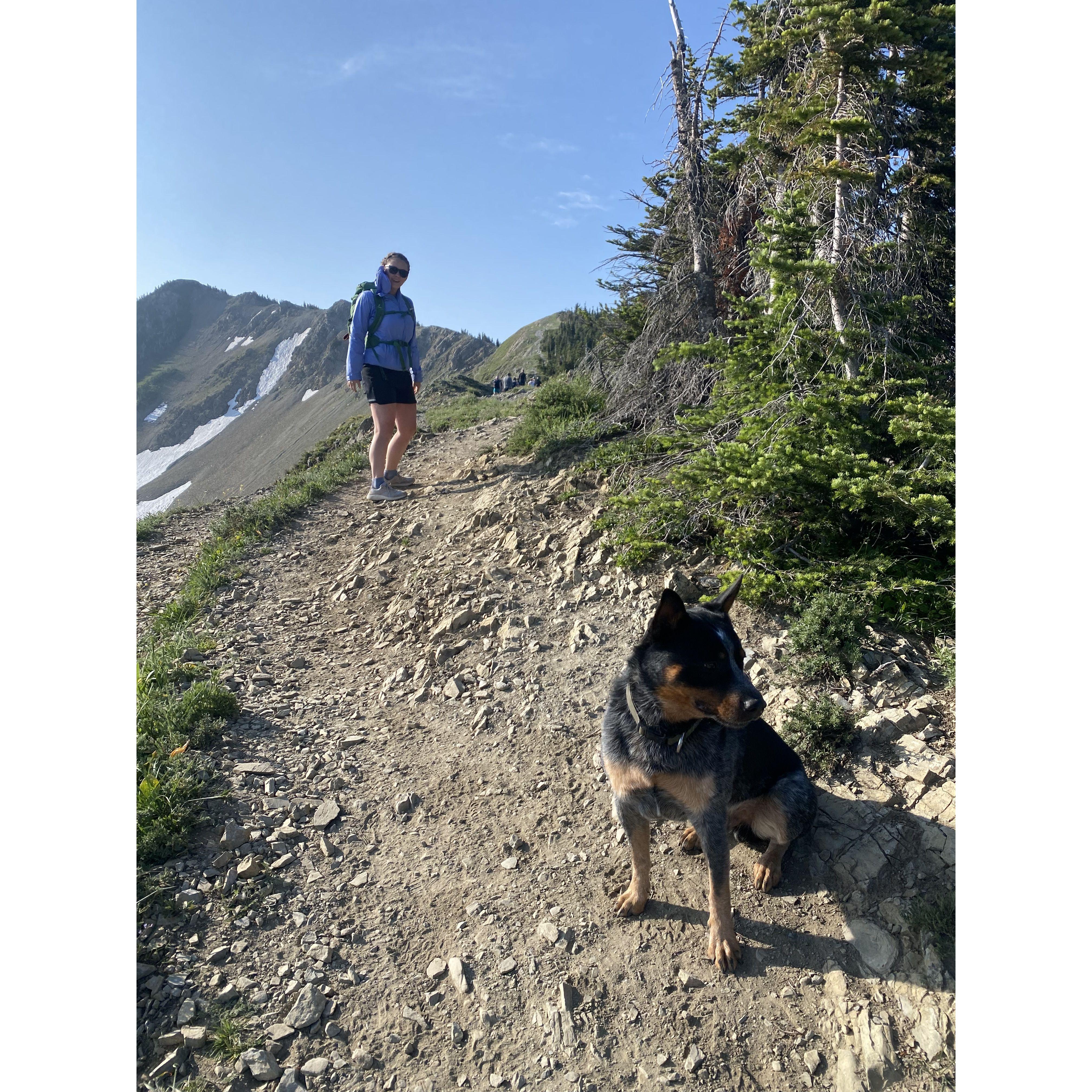 Hiking with our dog Huck