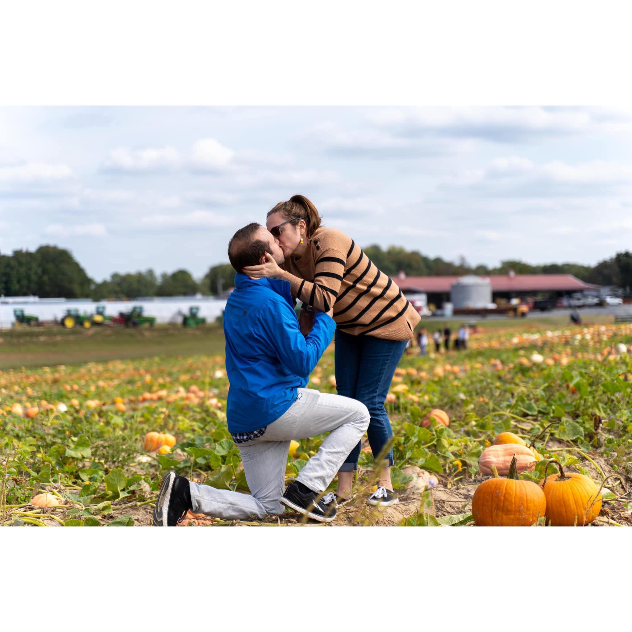 Pumpkin Proposal!