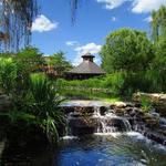 Grounds For Sculpture