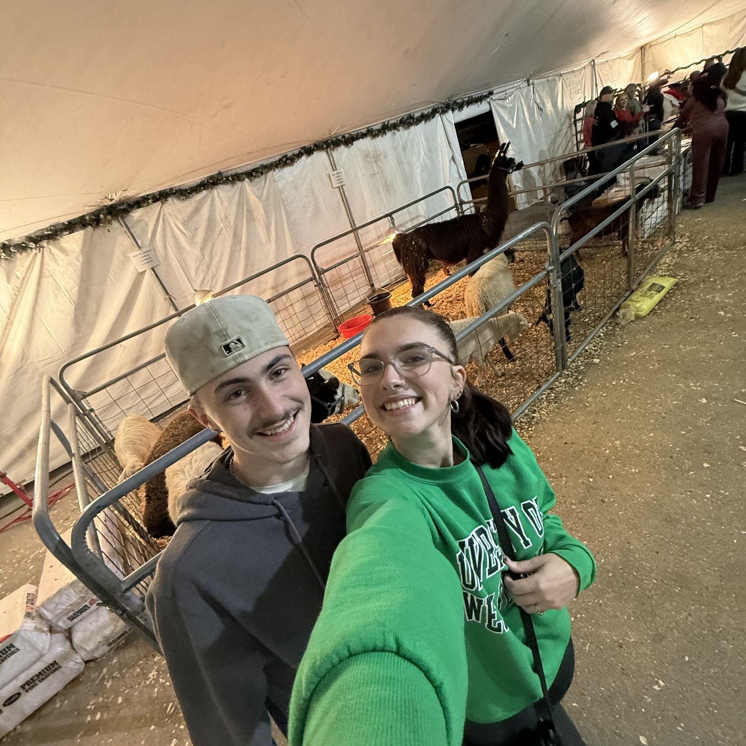 Christmas lights, Helicopters, and Pet Zoo!