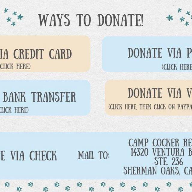 Donation to Camp Cocker Rescue