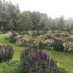 Mountain Top Arboretum
