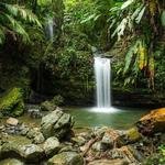 El Yunque National Forest