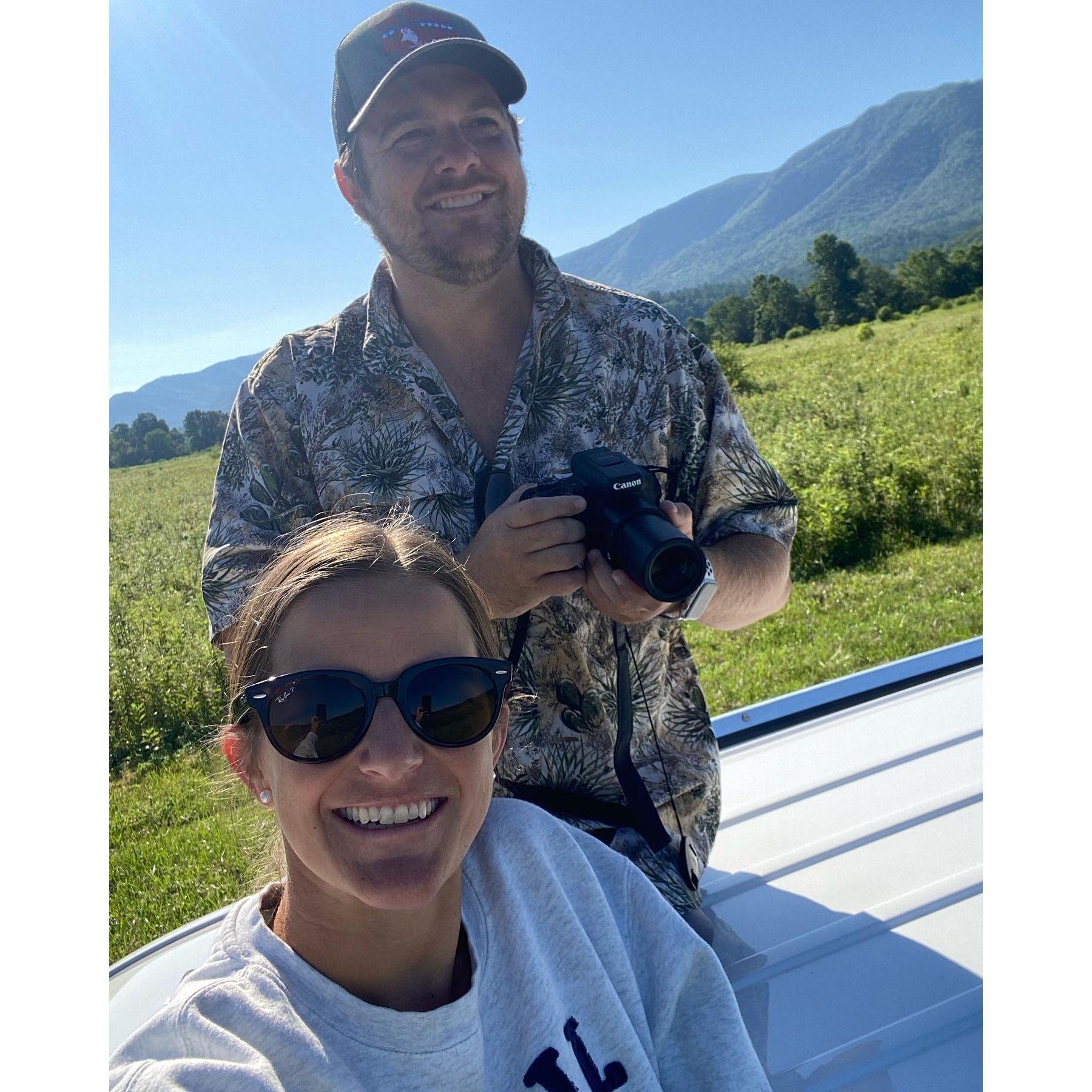 Wildlife Photography in the Smokies (We saw 9 black bears in a single day!) - Great Smoky Mountains, TN