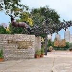 Lincoln Park Zoo
