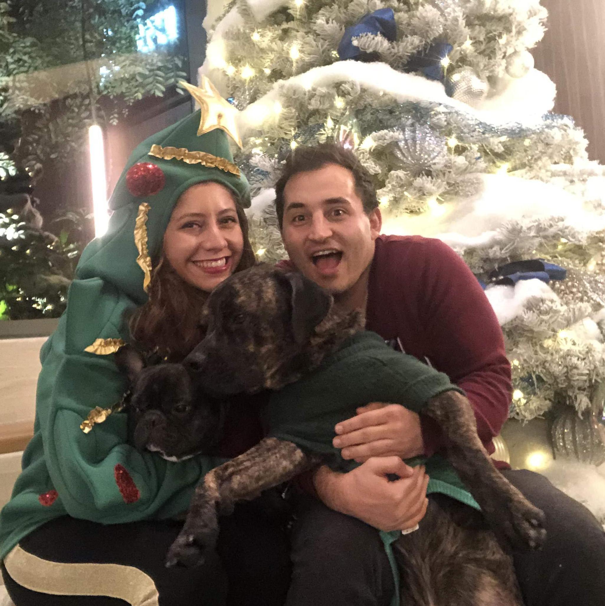 Dino's first Christmas in our family! 2019